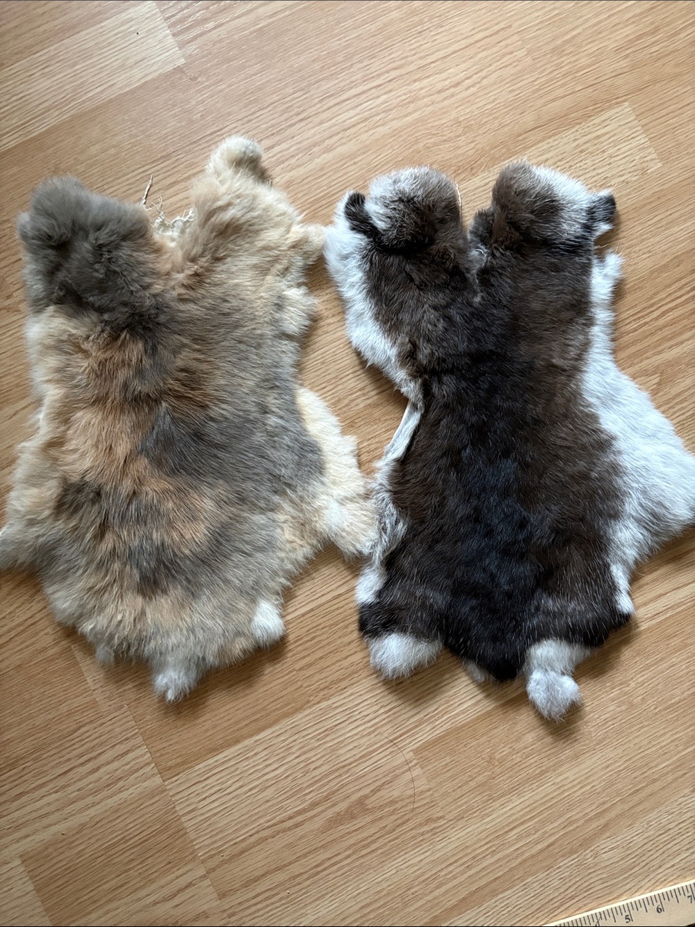 B0251 set rabbit fur pelts craft supply